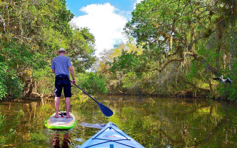 Paddleboard Trip